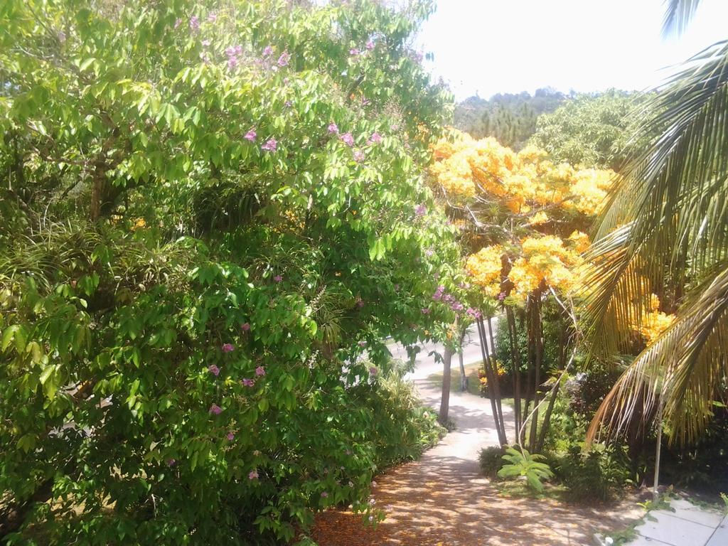 Rio Vista Resort Port Antonio Exterior photo